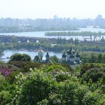 Краєвид із сирингарію Ботанічного саду