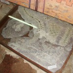 Віднайдений при розкопках фрагмент мозаїчної підлоги